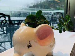 -璟象酒店-爱丽坊景观餐厅