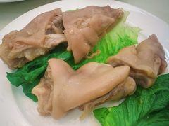 -丁老爷子苏香圆