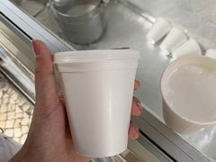 -洪馨椰子