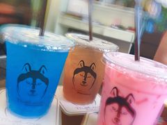 -TrueLove @ Neverland (Husky Cafe)