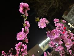 -天安门广场