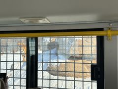 -横道河子东北虎林园