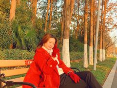 -昆山城市生态森林公园