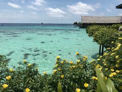 -卡帕莱度假村(西巴丹岛)