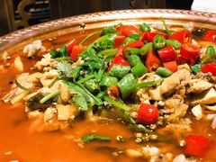 -沪小二炭火蛙锅(淮海中路美食不夜城店)