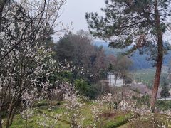 -樱桃山旅游景区