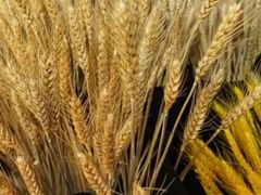 -三迪希尔顿酒店·星空酒廊