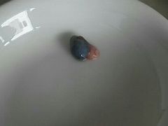 -闽粤一牛潮汕牛肉火锅