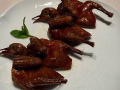 妙龄乳鸽-新荣记(湾仔店)