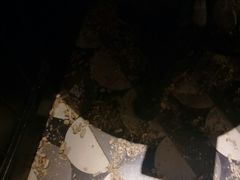 -Long Bar(莱佛士酒店)