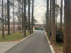 -东平国家森林公园
