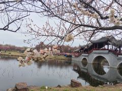 -上海海湾国家森林公园