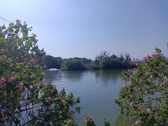 -艾溪湖湿地公园