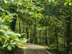-敬亭山风景名胜区