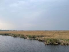 -野鸭湖国家湿地公园