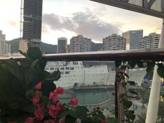 -润园四季椰子鸡火锅(海上世界店)