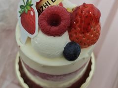 -极致味道动物奶油生日蛋糕(时尚店)