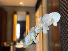 -上海璞麗酒店