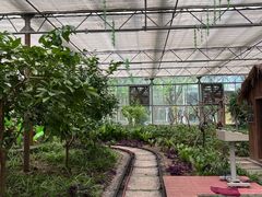 -南宫五洲植物乐园