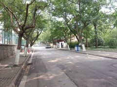 android_upload_pic-八大关景区