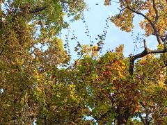 -终南山南五台景区