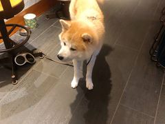 -BOCATA 西班牙餐厅(三里屯店)