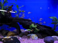 -上海海洋水族馆