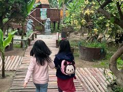 -呀路古热带植物园