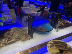 鲍鱼明虾-加餐海鲜自助(宝龙一城店)