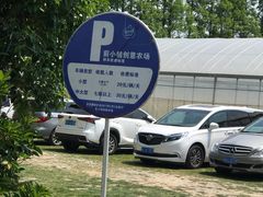 -前小桔亲子创意农场·草莓采摘·露营烧烤
