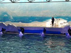 -渔岛海洋度假区