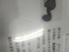 -京都全日空皇冠假日酒店