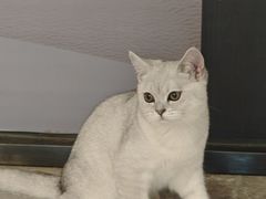 -筋骨堂热敷推拿按摩(翠华路店)