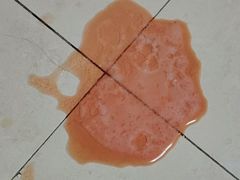 -特一安24小时宠物医院·骨科·中兽医