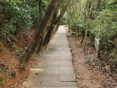 -梧桐山风景名胜区