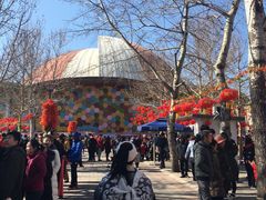 -朝阳公园游乐园