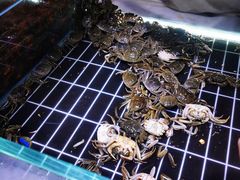 -聚盛源蒸汽海鲜火锅烤肉自助(巨川金海岸购物广场店)