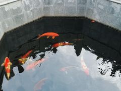 -西安市广仁寺
