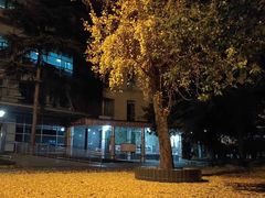 -绵阳人民公园(涪城区)