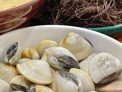 海白螺-老何家后安粉·糟粕醋海鲜火锅(三亚湾椰梦长廊店)