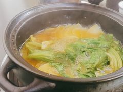 -蘑统田下·野生菌火锅