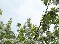 -北京奥林匹克公园