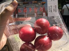 -北京麋鹿生态实验中心