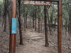-佛慧山