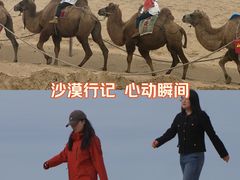 -玉龙沙湖景区