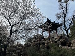 -晋祠宾馆