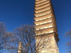 -崇圣寺三塔文化旅游区