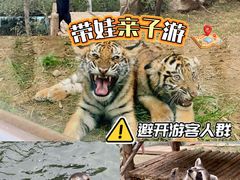-济南野生动物世界