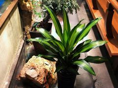 -庄隐阁(悠方广场店)