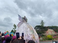 -荷兰花海